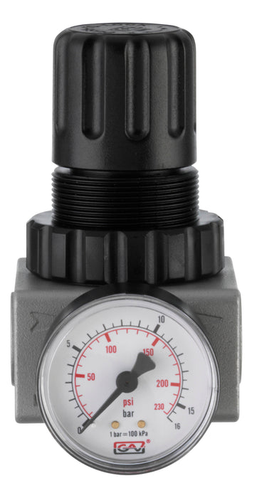PCL ATR12 Air Treatment Regulator 0-170 psi/0-12 bar, 1/2 Ports