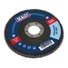 Sealey Flap Disc Zirconium, Ø100mmØ16mm Bore 120Grit, FD100120