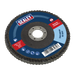 Sealey Flap Disc Zirconium, Ø100mmØ16mm Bore 80Grit, FD10080