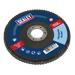 Sealey Flap Disc Zirconium, Ø125mm Ø22mm Bore 60Grit, FD12560