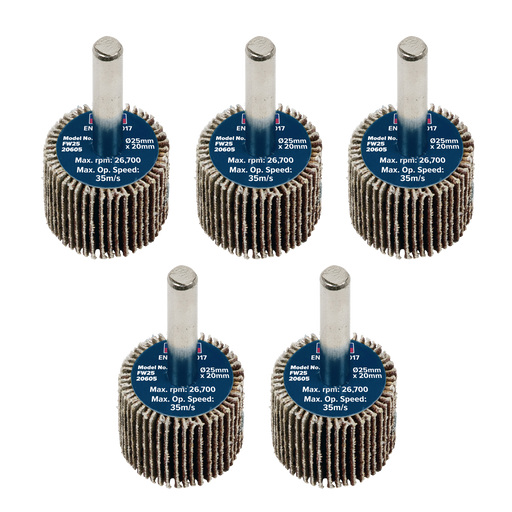 Sealey Flap Wheels, Ø25 x 20mm Ø6mm Shaft 60Grit- Pack of 5, FW2520605