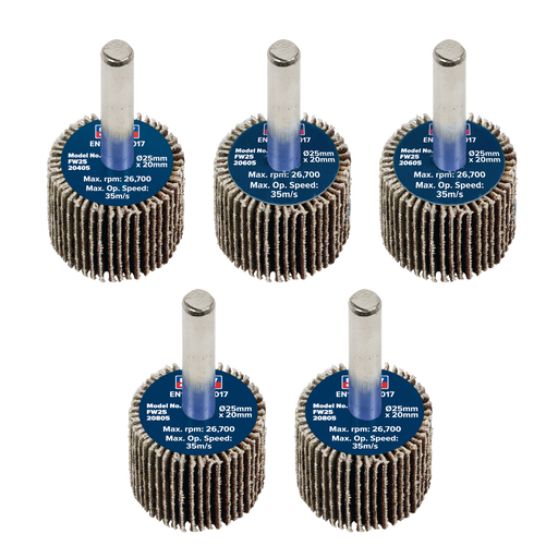 Sealey Flap Wheels, Ø25 x 20mm Ø6mm Shaft Assorted Grit - Pack of 5, FW2520ASS