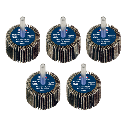 Sealey Flap Wheels, Ø40 x 30mm Ø6mm Shaft 80Grit - Pack of 5, FW4030805