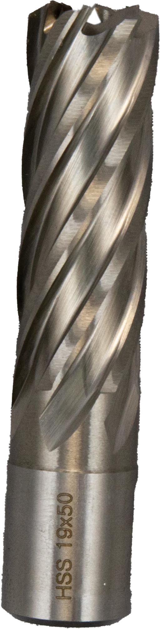 Abracs Mag Drill Cutter 19mm x 50mm, MD5019