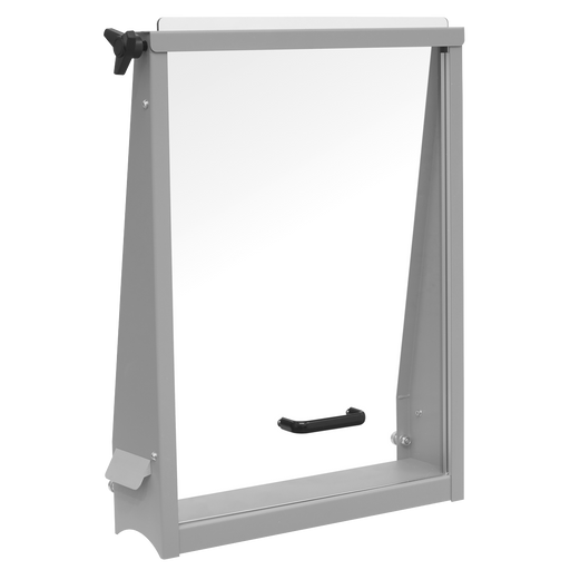 Sealey PPFSG2 Safety Guard for PPF301S