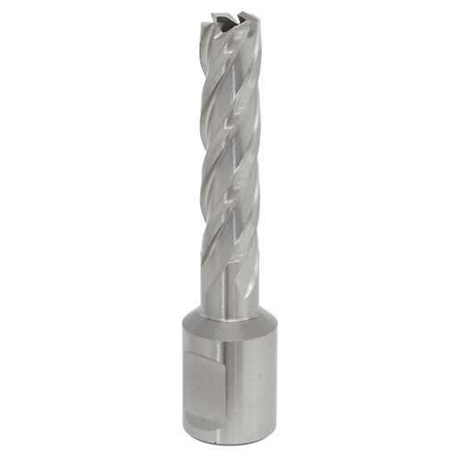 Sealey RBHSS12L Rotabor Cutter HSS Ø12mm - Cut Depth 50mm