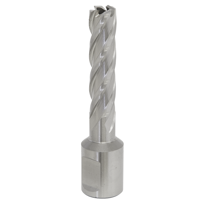 Sealey RBHSS12L Rotabor Cutter HSS Ø12mm - Cut Depth 50mm