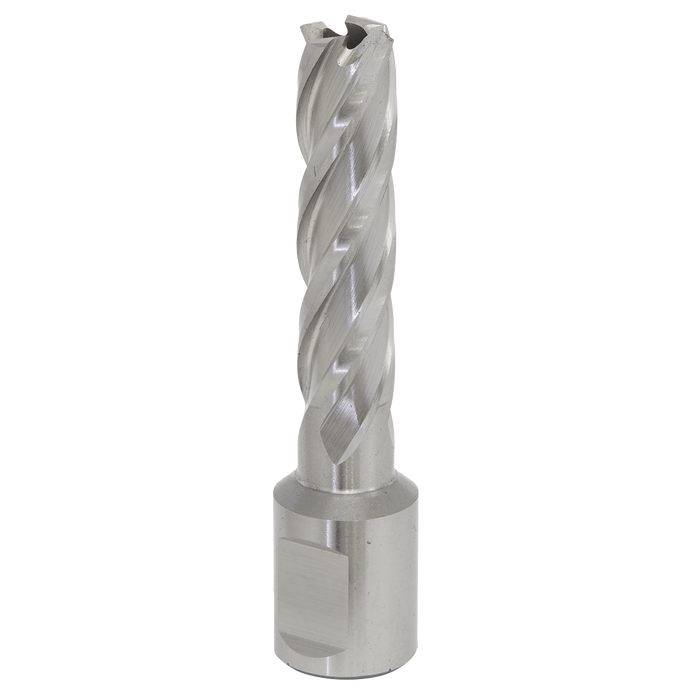 Sealey RBHSS13L Rotabor Cutter HSS Ø13mm - Cut Depth 50mm