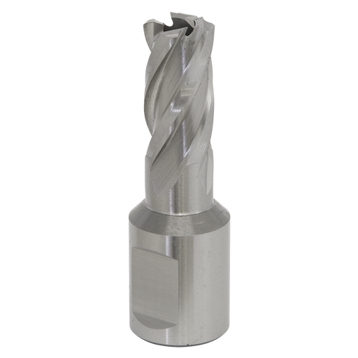 Sealey RBHSS13S Rotabor Cutter HSS Ø13mm - Cut Depth 25mm