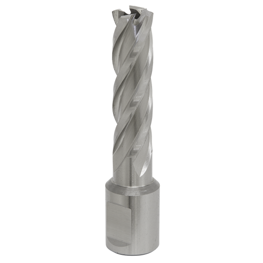 Sealey RBHSS14L Rotabor Cutter HSS Ø14mm - Cut Depth 50mm