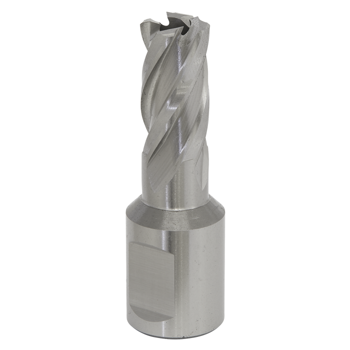Sealey RBHSS14S Rotabor Cutter HSS Ø14mm - Cut Depth 25mm