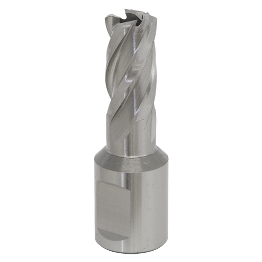 Sealey RBHSS14S Rotabor Cutter HSS Ø14mm - Cut Depth 25mm