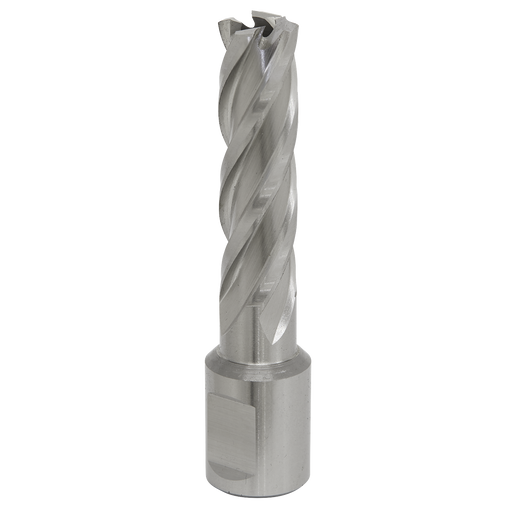 Sealey RBHSS15L Rotabor Cutter HSS Ø15mm - Cut Depth 50mm