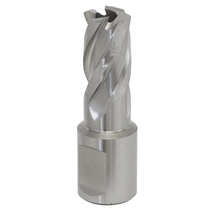 Sealey RBHSS15S Rotabor Cutter HSS Ø15mm - Cut Depth 25mm