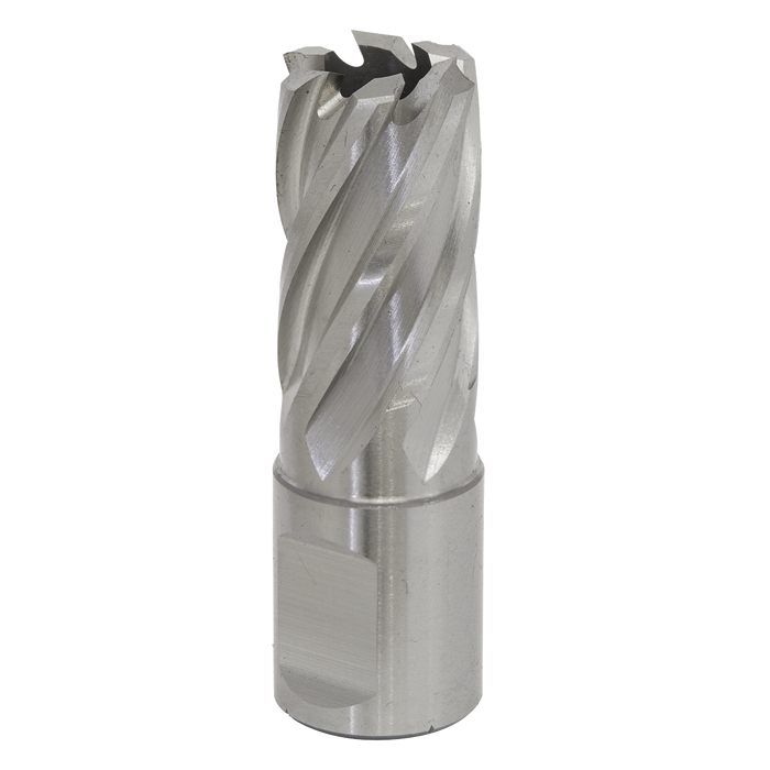Sealey RBHSS17S Rotabor Cutter HSS Ø17mm - Cut Depth 25mm