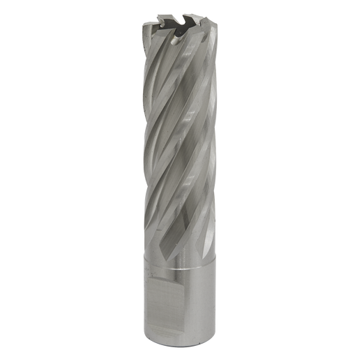 Sealey RBHSS19L Rotabor Cutter HSS Ø19mm - Cut Depth 50mm