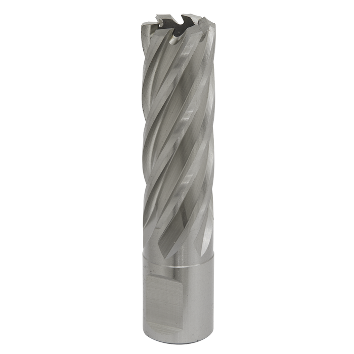 Sealey RBHSS19L Rotabor Cutter HSS Ø19mm - Cut Depth 50mm