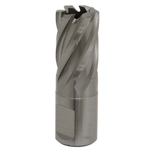 Sealey RBHSS19S Rotabor Cutter HSS Ø19mm - Cut Depth 25mm