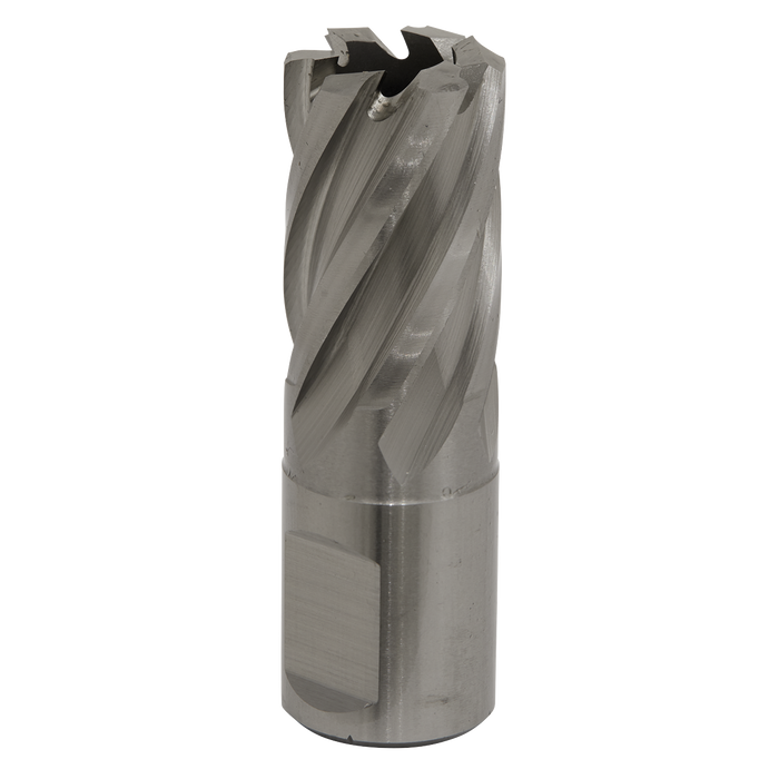 Sealey RBHSS19S Rotabor Cutter HSS Ø19mm - Cut Depth 25mm