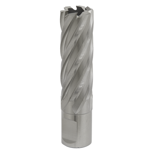 Sealey RBHSS20L Rotabor Cutter HSS Ø20mm - Cut Depth 50mm