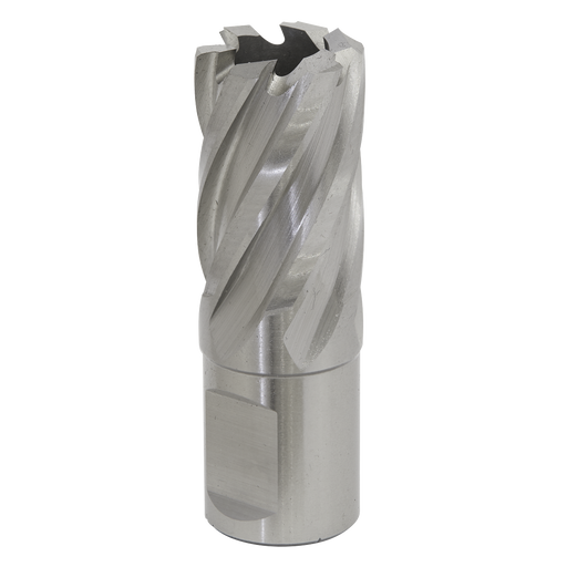 Sealey RBHSS20S Rotabor Cutter HSS Ø20mm - Cut Depth 25mm