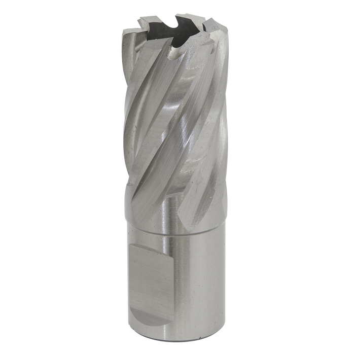 Sealey RBHSS20S Rotabor Cutter HSS Ø20mm - Cut Depth 25mm