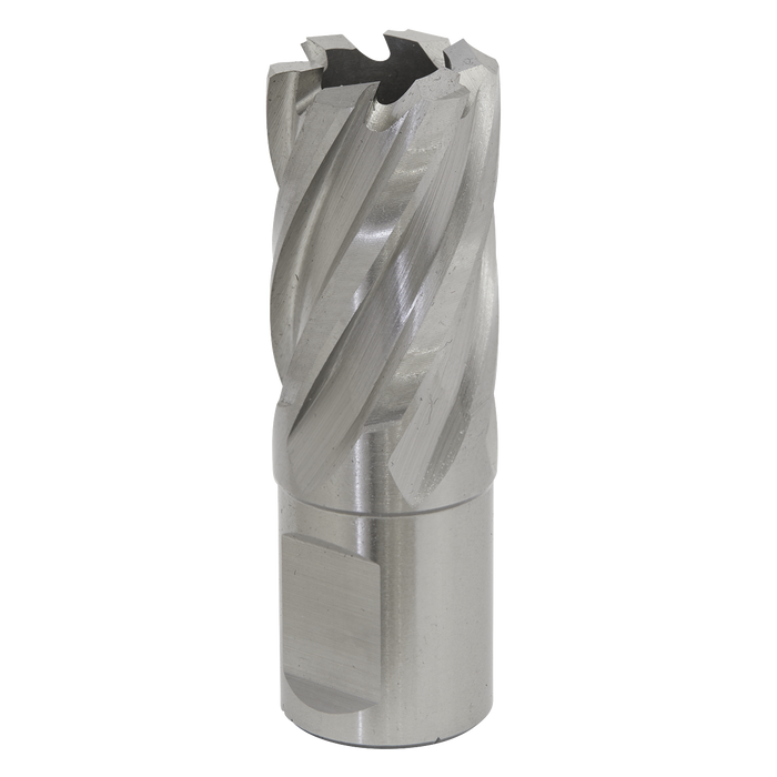 Sealey RBHSS21S Rotabor Cutter HSS Ø21mm - Cut Depth 25mm