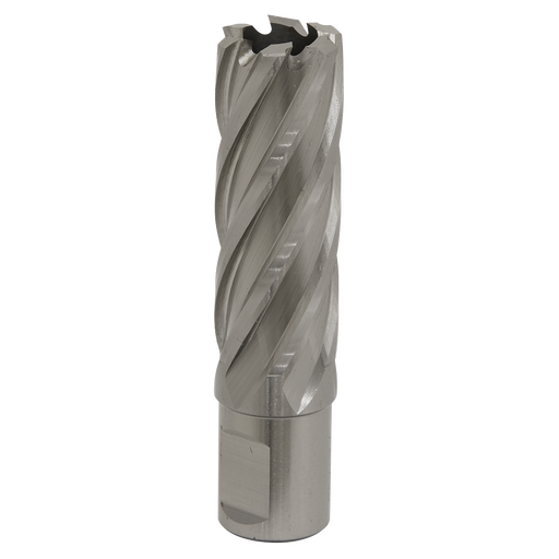 Sealey RBHSS22L Rotabor Cutter HSS Ø22mm - Cut Depth 50mm