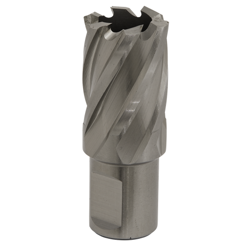 Sealey RBHSS22S Rotabor Cutter HSS Ø22mm - Cut Depth 25mm