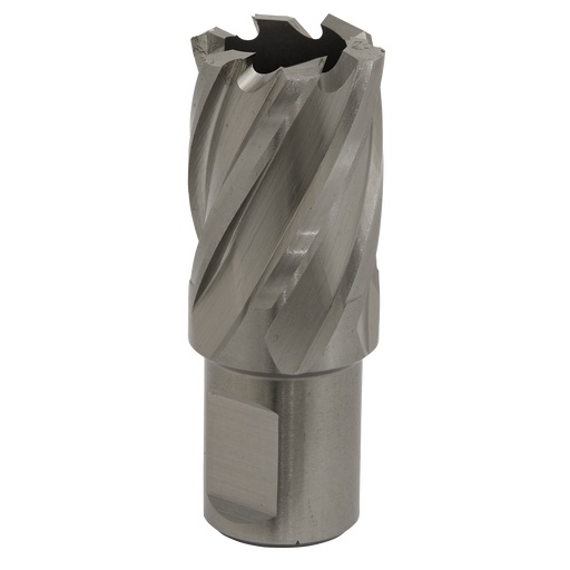 Sealey RBHSS23S Rotabor Cutter HSS Ø23mm - Cut Depth 25mm