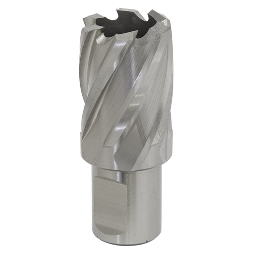 Sealey RBHSS26S Rotabor Cutter HSS Ø26mm - Cut Depth 25mm