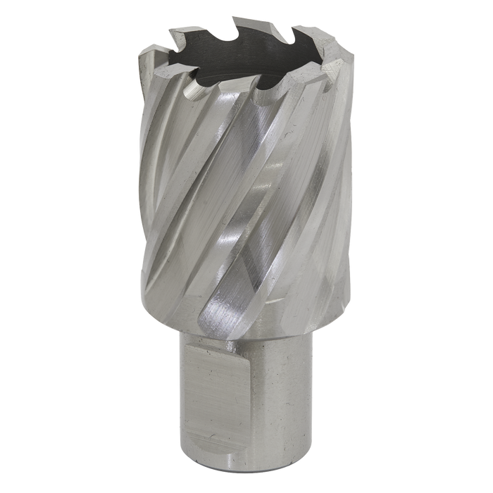 Sealey RBHSS29S Rotabor Cutter HSS Ø29mm - Cut Depth 25mm