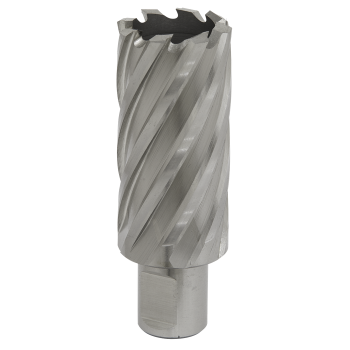 Sealey RBHSS30L Rotabor Cutter HSS Ø30mm - Cut Depth 50mm