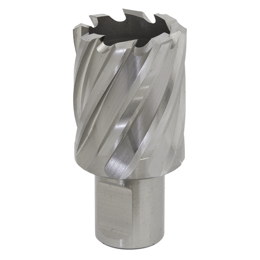 Sealey RBHSS30S Rotabor Cutter HSS Ø30mm - Cut Depth 25mm