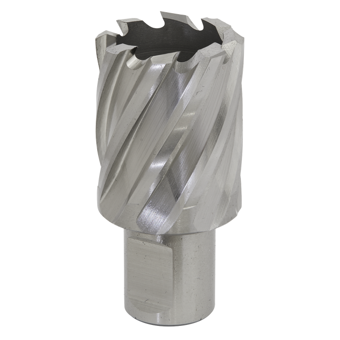 Sealey RBHSS30S Rotabor Cutter HSS Ø30mm - Cut Depth 25mm