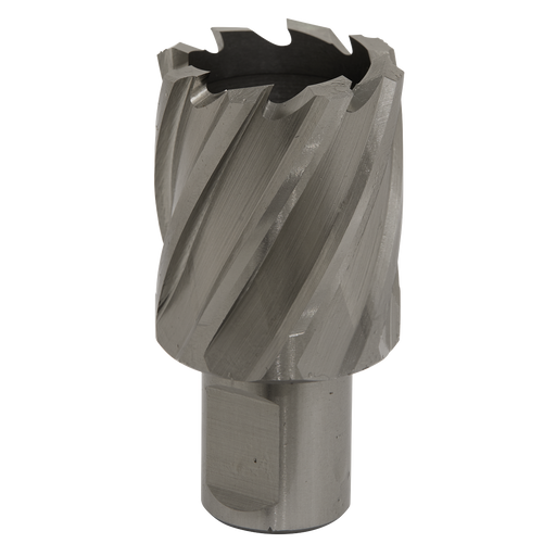 Sealey RBHSS32S Rotabor Cutter HSS Ø32mm - Cut Depth 25mm