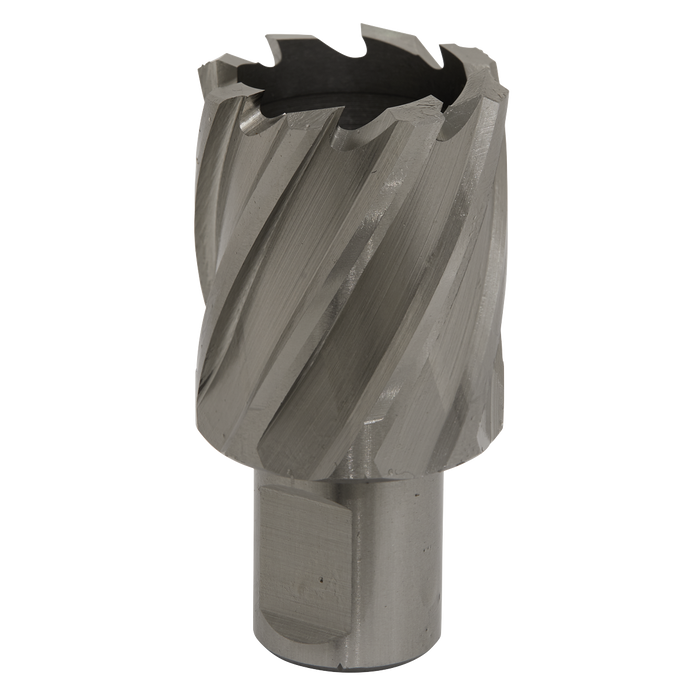 Sealey RBHSS32S Rotabor Cutter HSS Ø32mm - Cut Depth 25mm