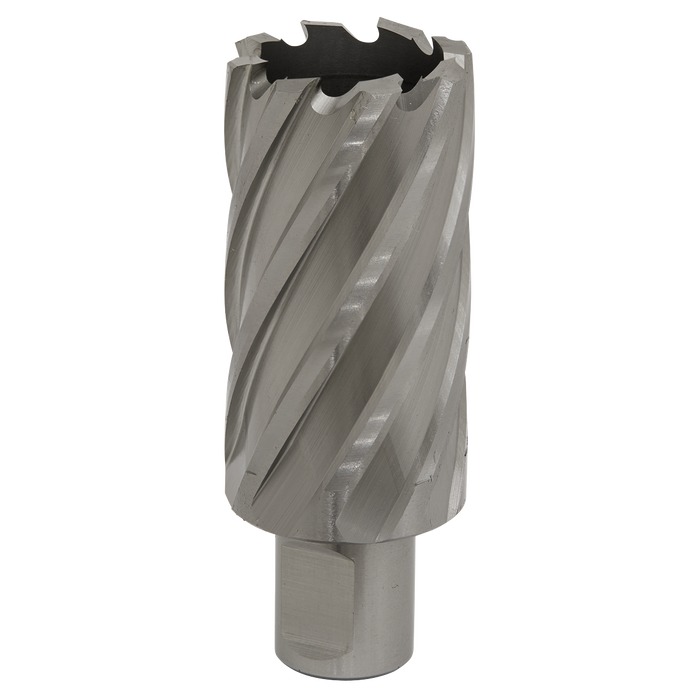 Sealey RBHSS33L Rotabor Cutter HSS Ø33mm - Cut Depth 50mm