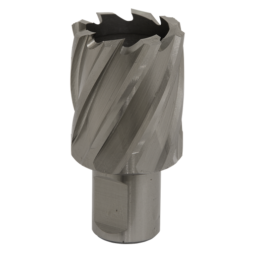 Sealey RBHSS33S Rotabor Cutter HSS Ø33mm - Cut Depth 25mm