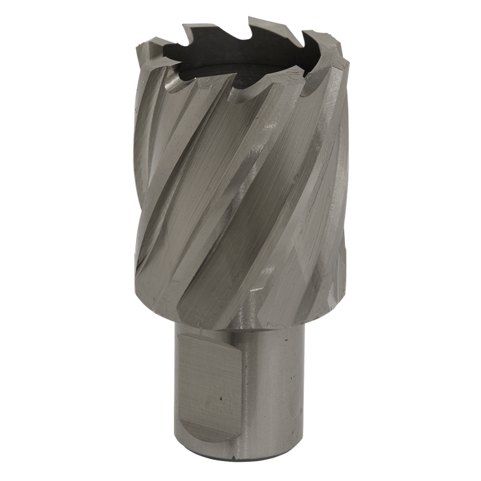 Sealey RBHSS33S Rotabor Cutter HSS Ø33mm - Cut Depth 25mm