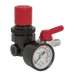 Sealey SA5/RG/14 Air Regulator 1/4"BSP Female - 1/4"BSP Male