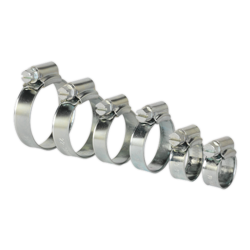 Sealey SHCS1 Hose Clip Assortment 30pc Ø8-29mm Zinc Plated
