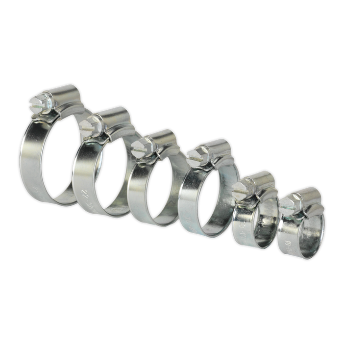Sealey SHCS1 Hose Clip Assortment 30pc Ø8-29mm Zinc Plated