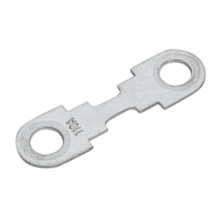 Sealey START360.F Fuse 110Amp for START360 & START560