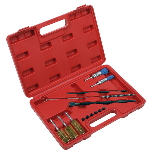 Sealey VS1900 Cleaning Brush Set Injector Bore 14pc