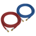 Welding Hose Set Oxyacetylene EN ISO ISO 3821 (EN 559) 10m, WH10, Sealey